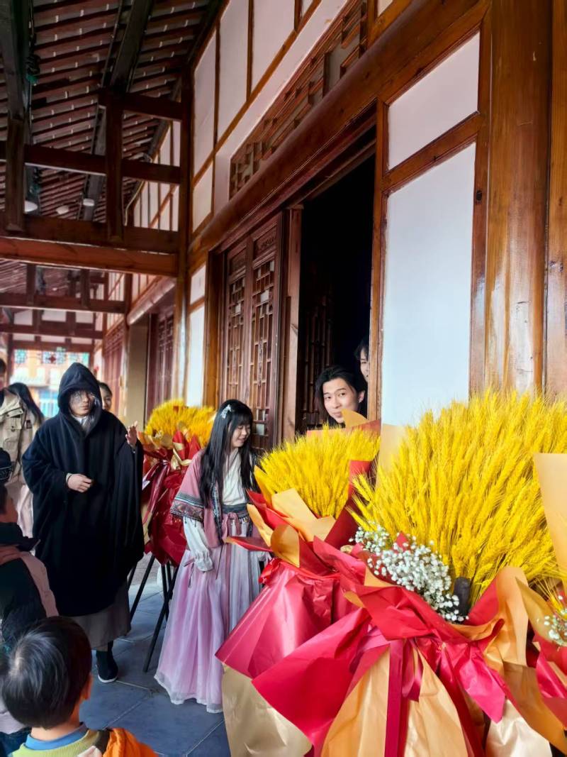 平安县文旅项目策划